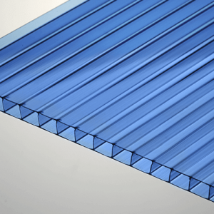 Киви сотовый - полигаль