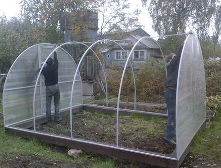 сборка теплицы в ммогилеве