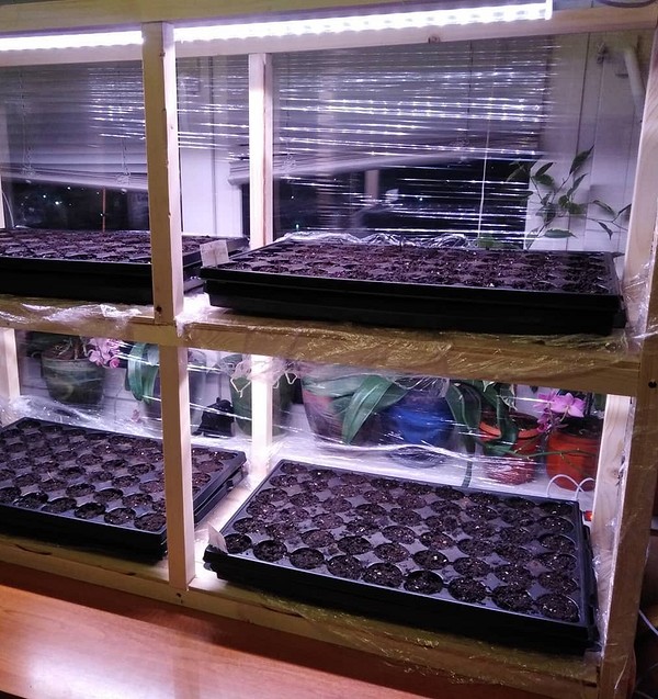 Как сделать домашнюю теплицу на круглый год